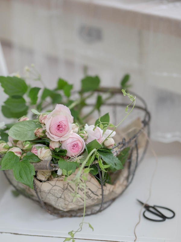 Rosen aus dem Garten