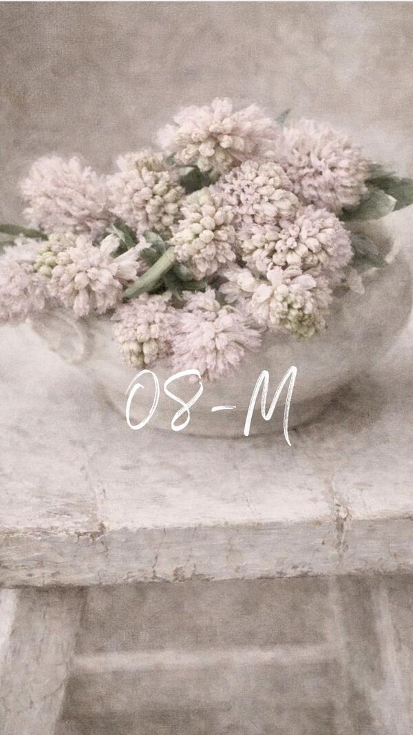 Karte 08-M Frühling